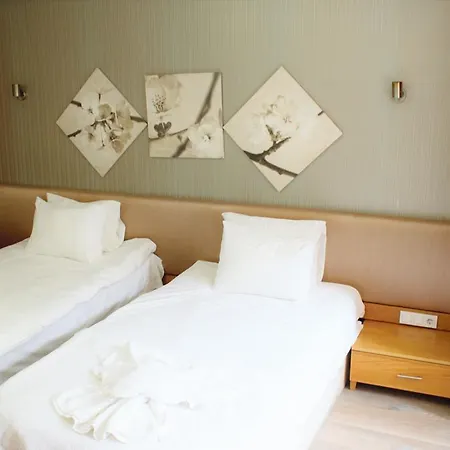 Apart-hotel Taksim Downtown Istambul